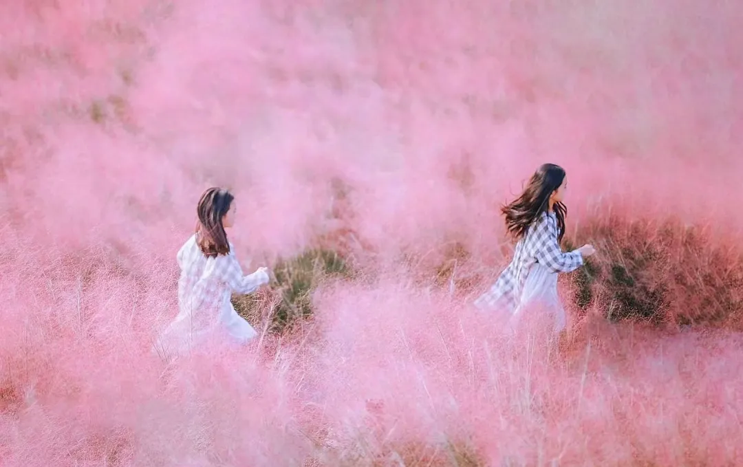 e5df806c7236f8535dd9652cde0b0188-sz_2850773