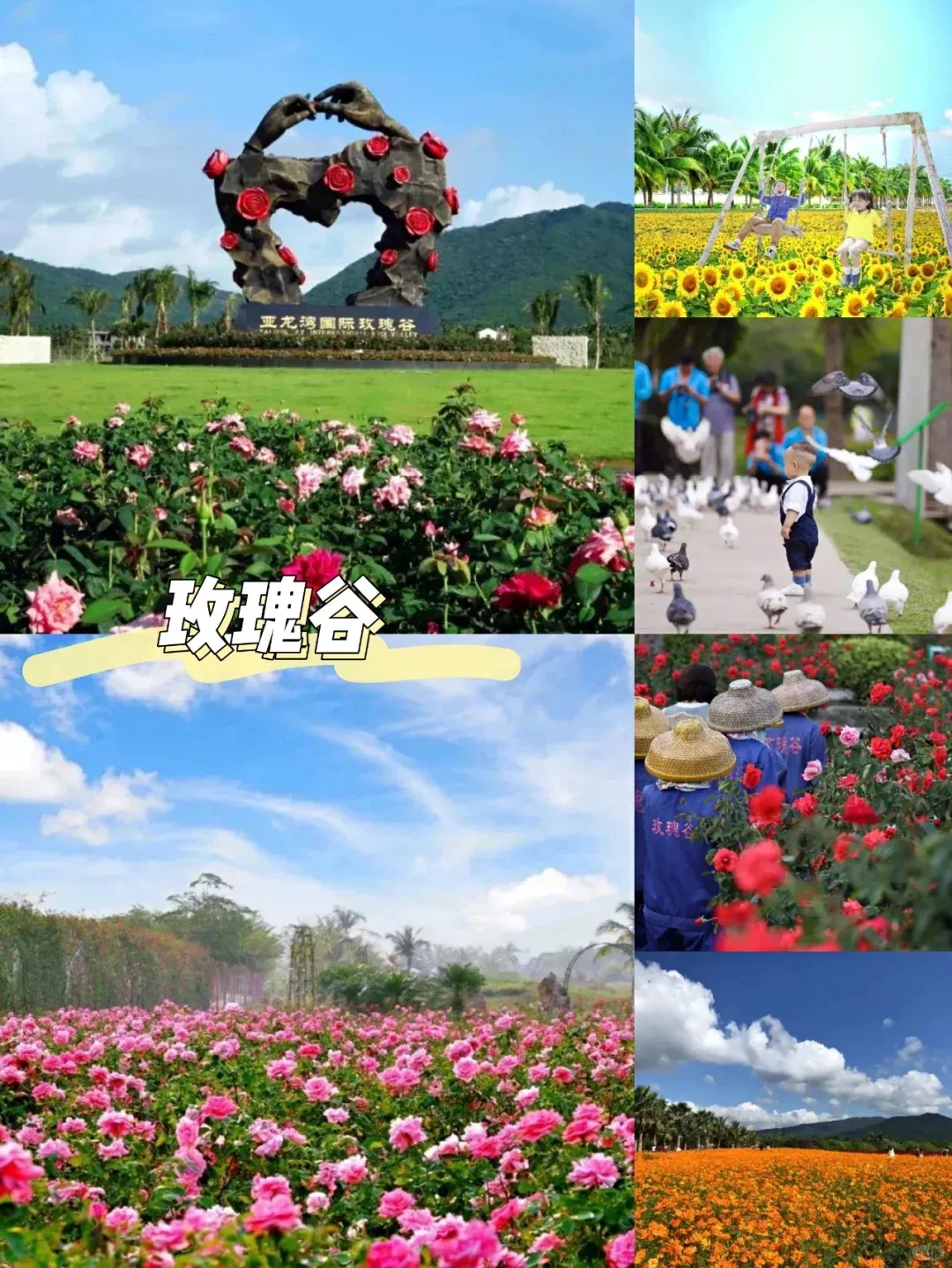 e6003d787b9cb4a109ca332d87243a87-sz_3166221 e6003d787b9cb4a109ca332d87243a87-sz_3166221