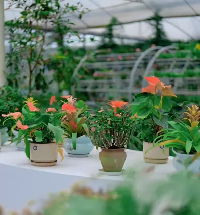 e6289227e51ca045fd0a3e0c7d6c5f05-sz_351943