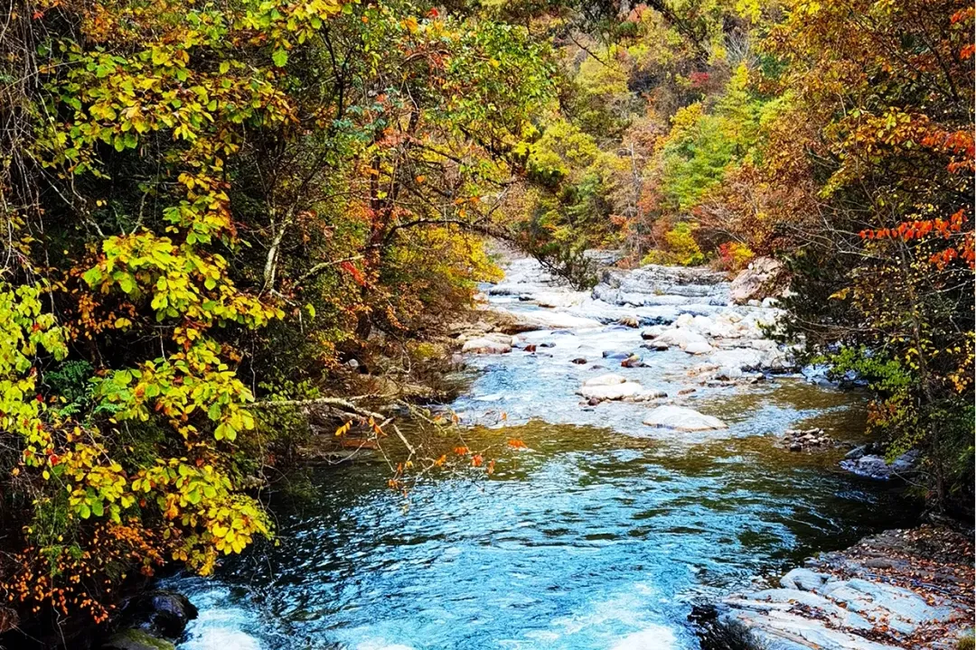 e659328bdd983c74c27eaa2faef89868-sz_4405255