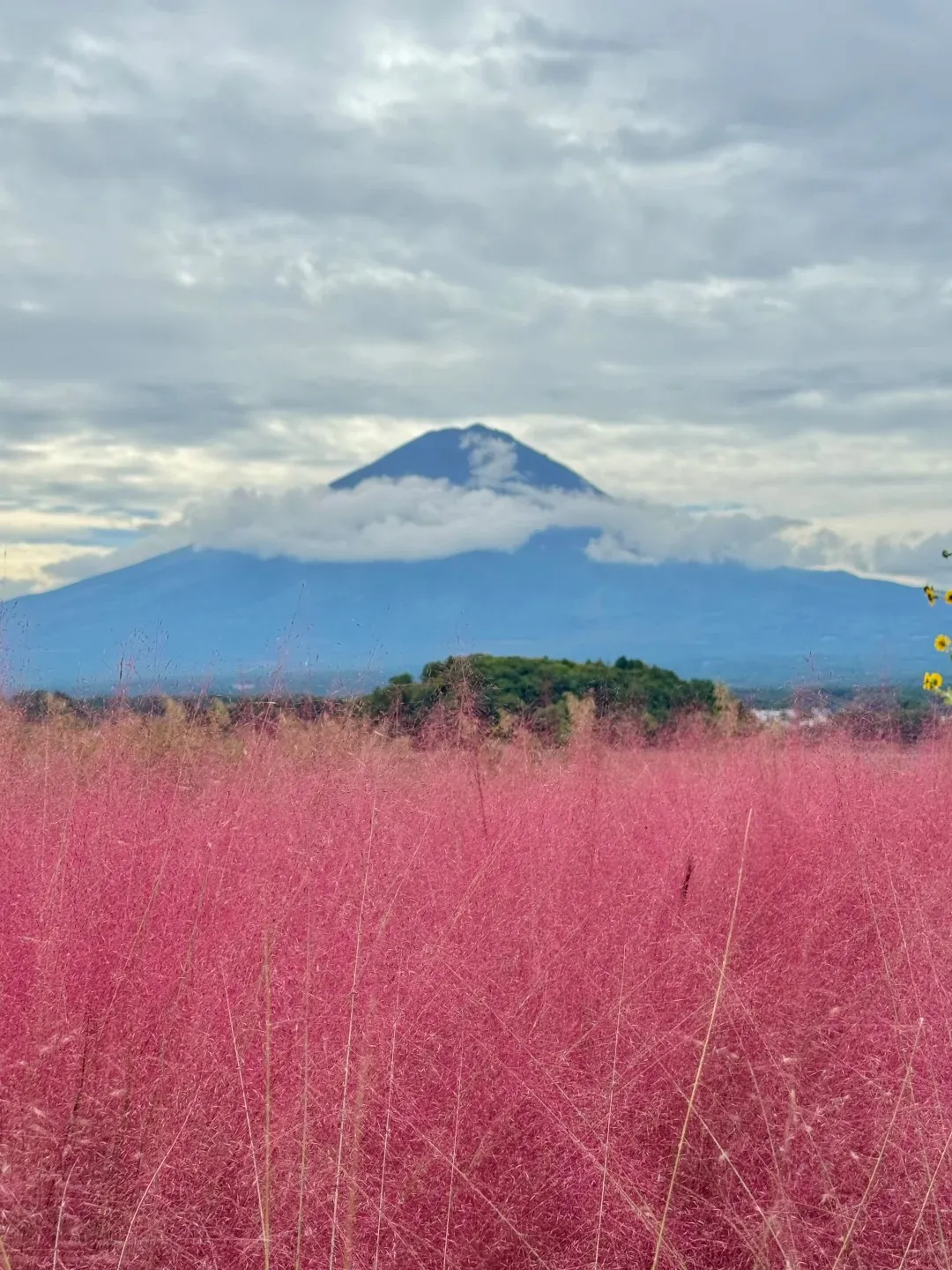 e674c473e756d677621958cf0c8c867e-sz_400565 e674c473e756d677621958cf0c8c867e-sz_400565