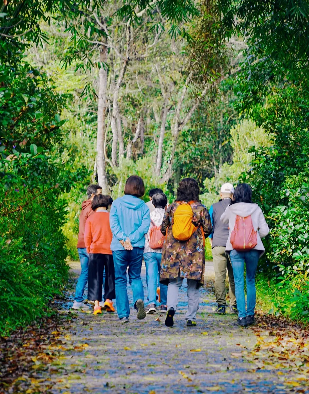 e68d379d29e399648a6a228f3512a470-sz_2809122