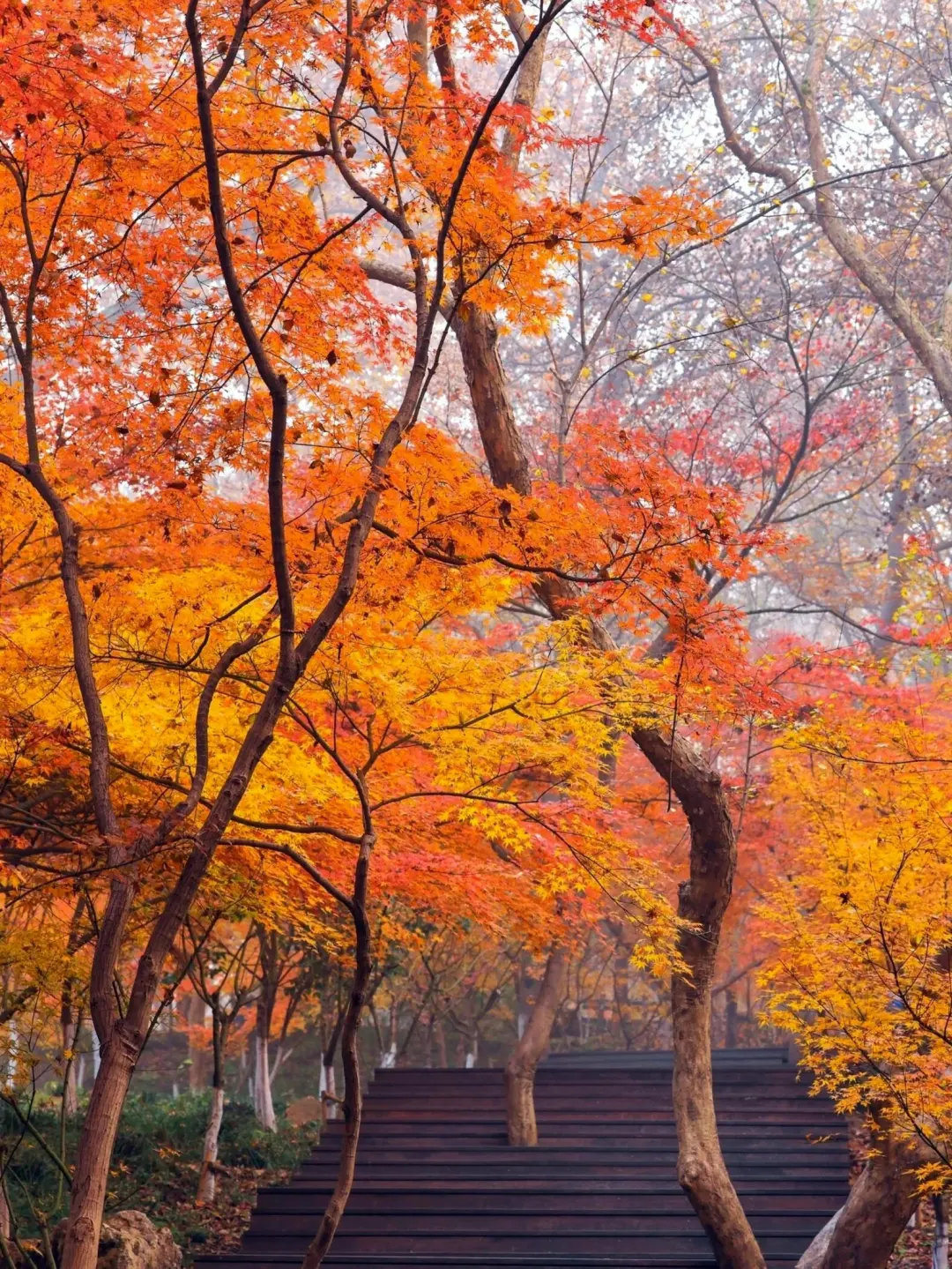 e6aaa473f36fe2fbdfc119259a56f503-sz_757495