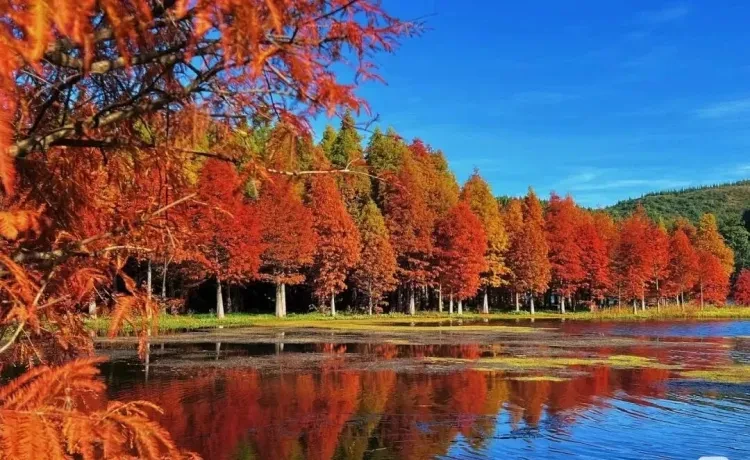 e6e890e2224a715e58c3c08c1512ec40-sz_183361 e6e890e2224a715e58c3c08c1512ec40-sz_183361