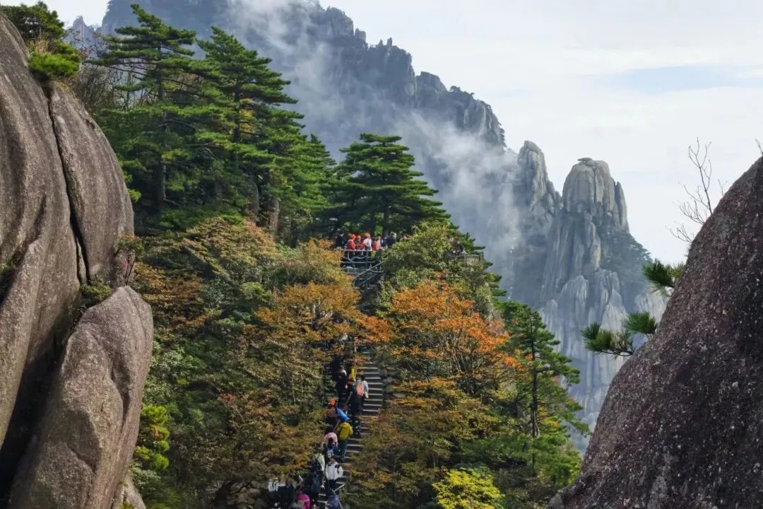 e6f18b8f0d9b40d615bf24001a2a31c7-sz_164565