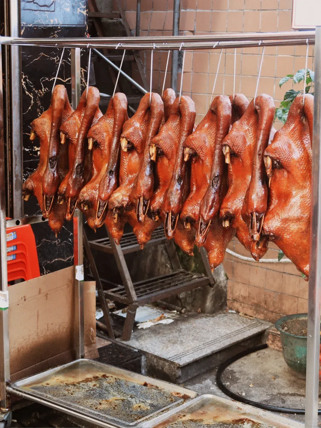 e6f190fcf8ba70dc6844a6e7f37e6fe7-sz_2356506