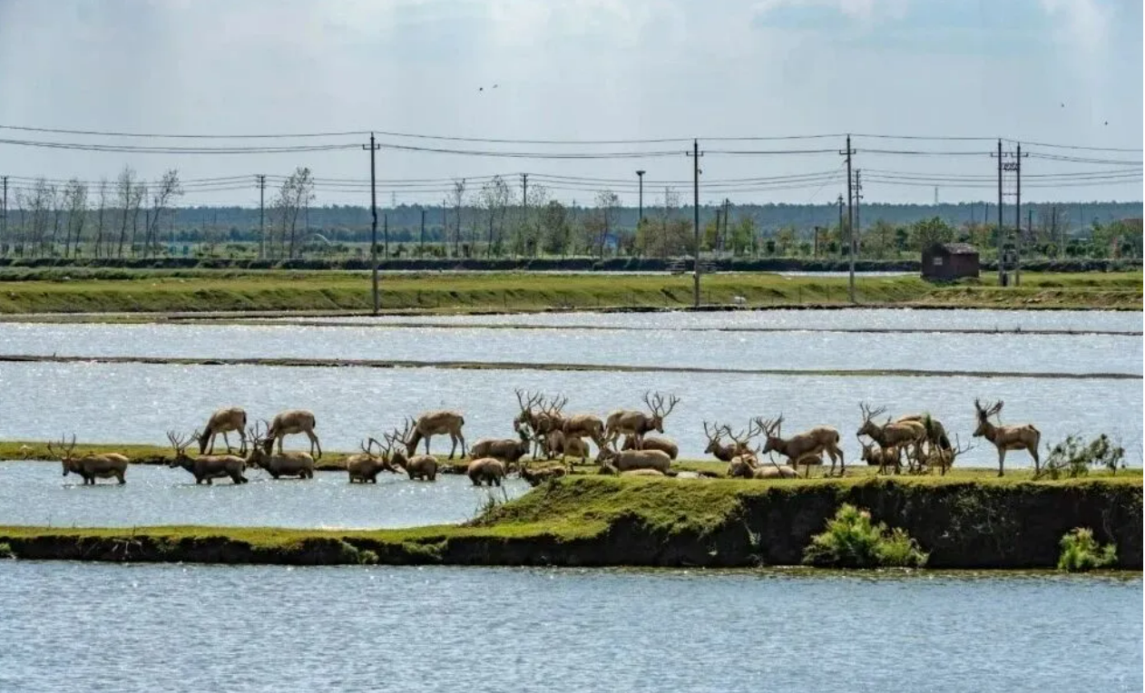 e6f56918e31b3886a377b71914c7393c e6f56918e31b3886a377b71914c7393c