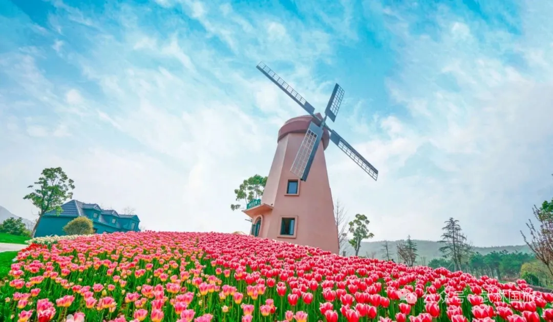 e70e55201aeb667af2a2e5890d90e834-sz_824566