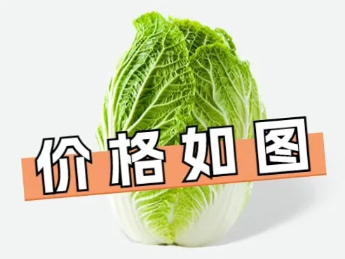 e73f0671bf080fe046a41d33532448f9-sz_59885