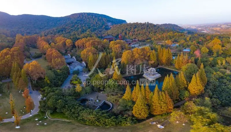 e79525cd07ca38c0da46acad27d9d081-sz_73237 e79525cd07ca38c0da46acad27d9d081-sz_73237