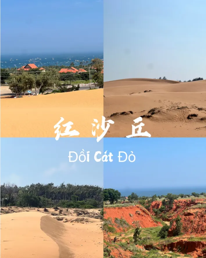 e79f9a1030a5c98d0aae369a05c16357-sz_613987-1