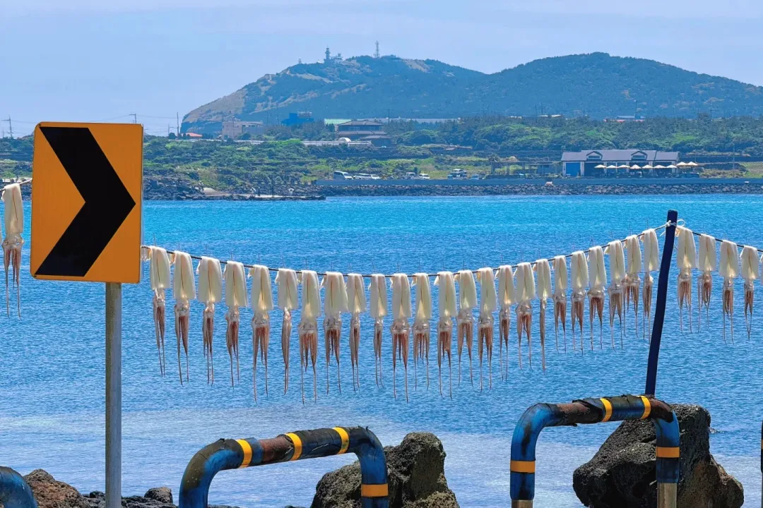 e7aea34a762c58bf620dfbc26539315b-sz_569674