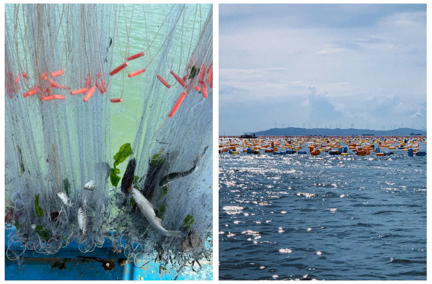 e7e308a38a77abff32d6bade65295e09 e7e308a38a77abff32d6bade65295e09