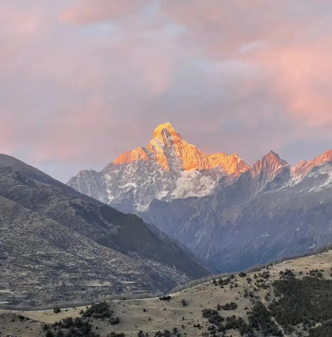 e8065e5f90e1e09886e41e21fa2fa3d0-sz_235103