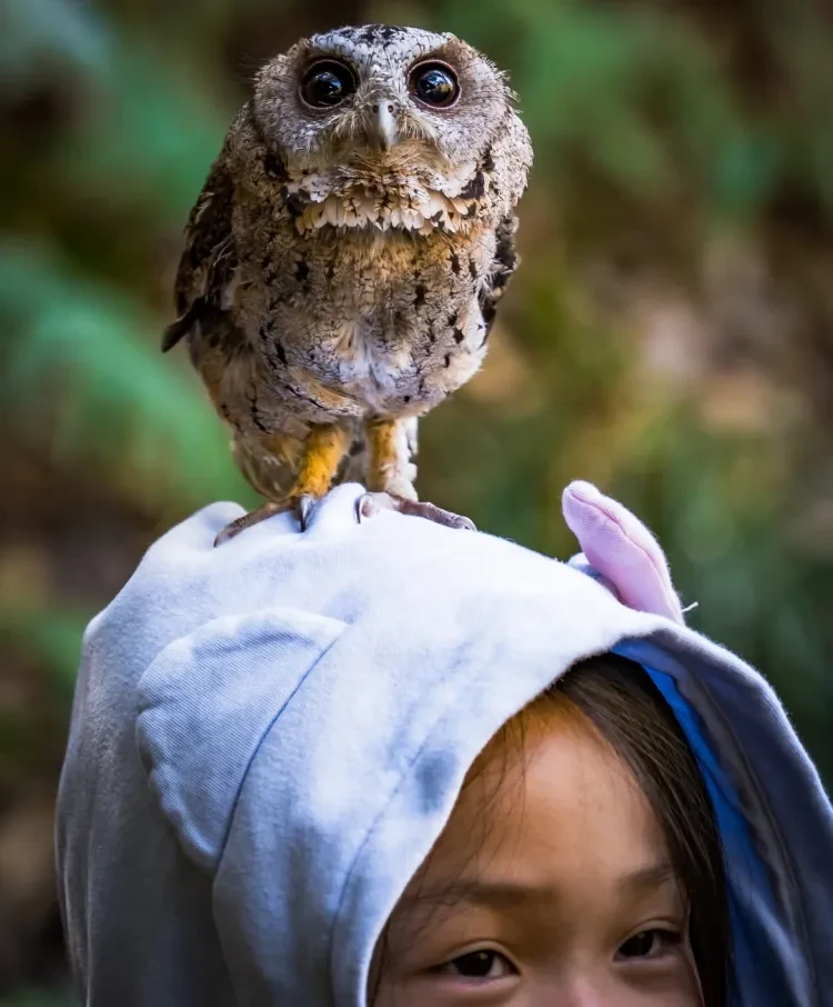 e815ae27639b9f8419e2cd32aafa9544-sz_329683 e815ae27639b9f8419e2cd32aafa9544-sz_329683