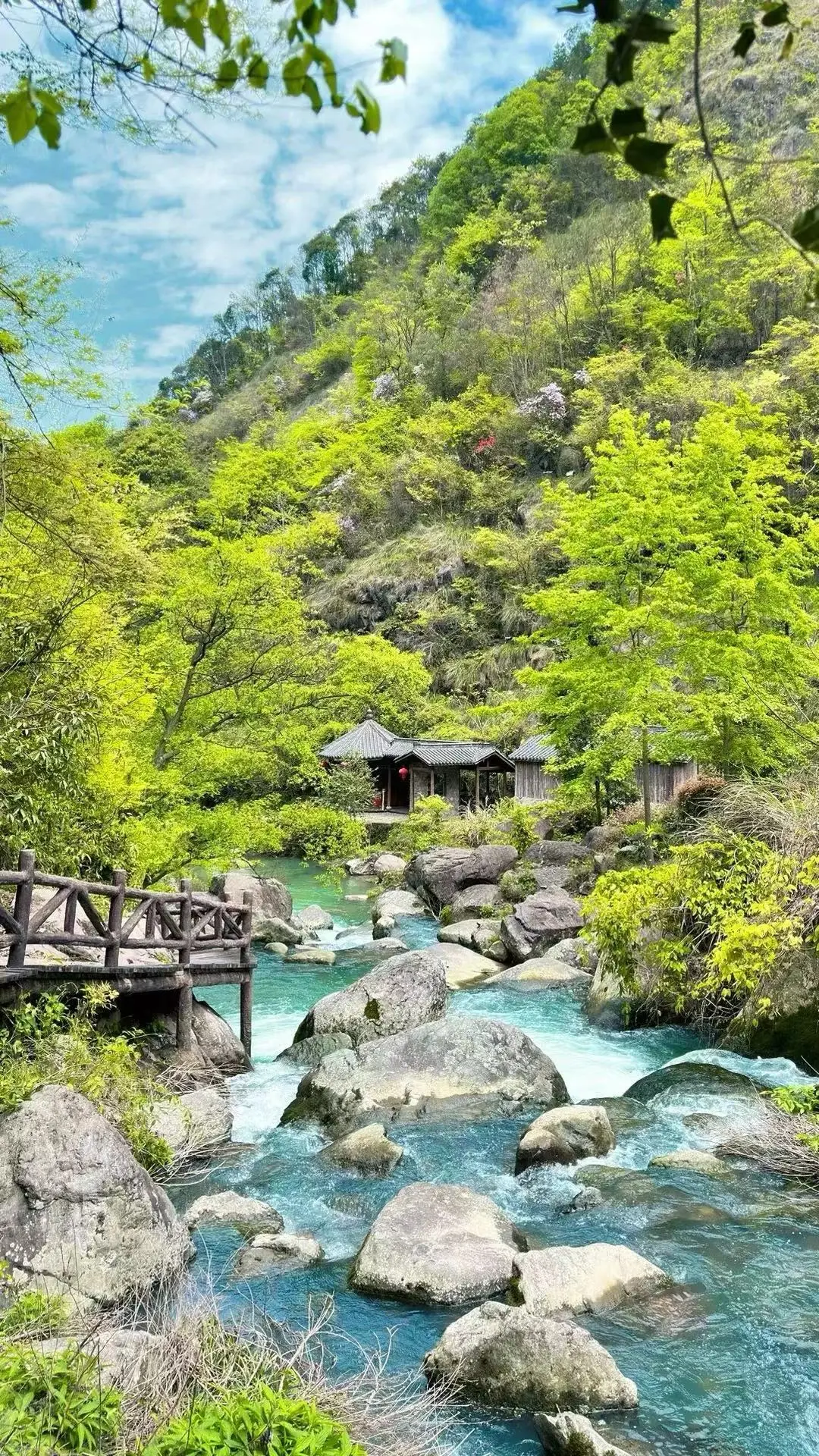 e83d60323eb6fd0c63178bb3f2b0bf32-sz_684514