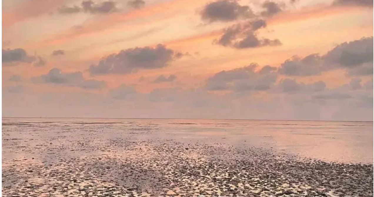 e87080dc5d4ee0ca23dd62f2dd8906e4 e87080dc5d4ee0ca23dd62f2dd8906e4