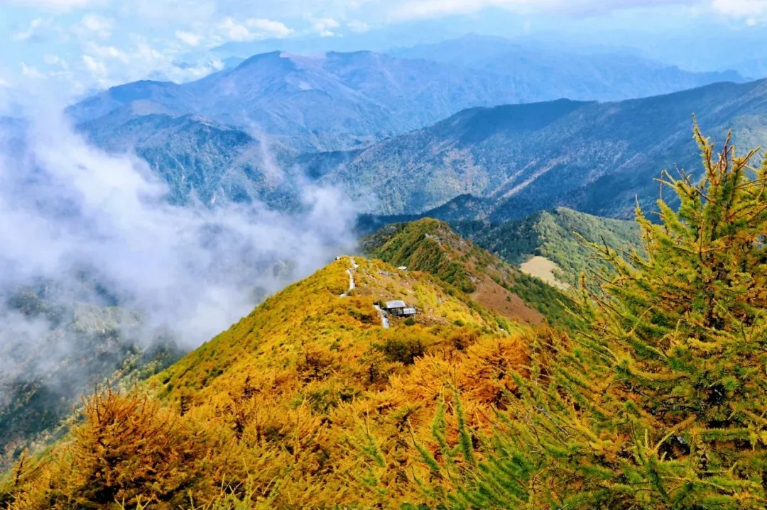 e8872f5f3e7e096c81e957793dcfe625-sz_568918-1