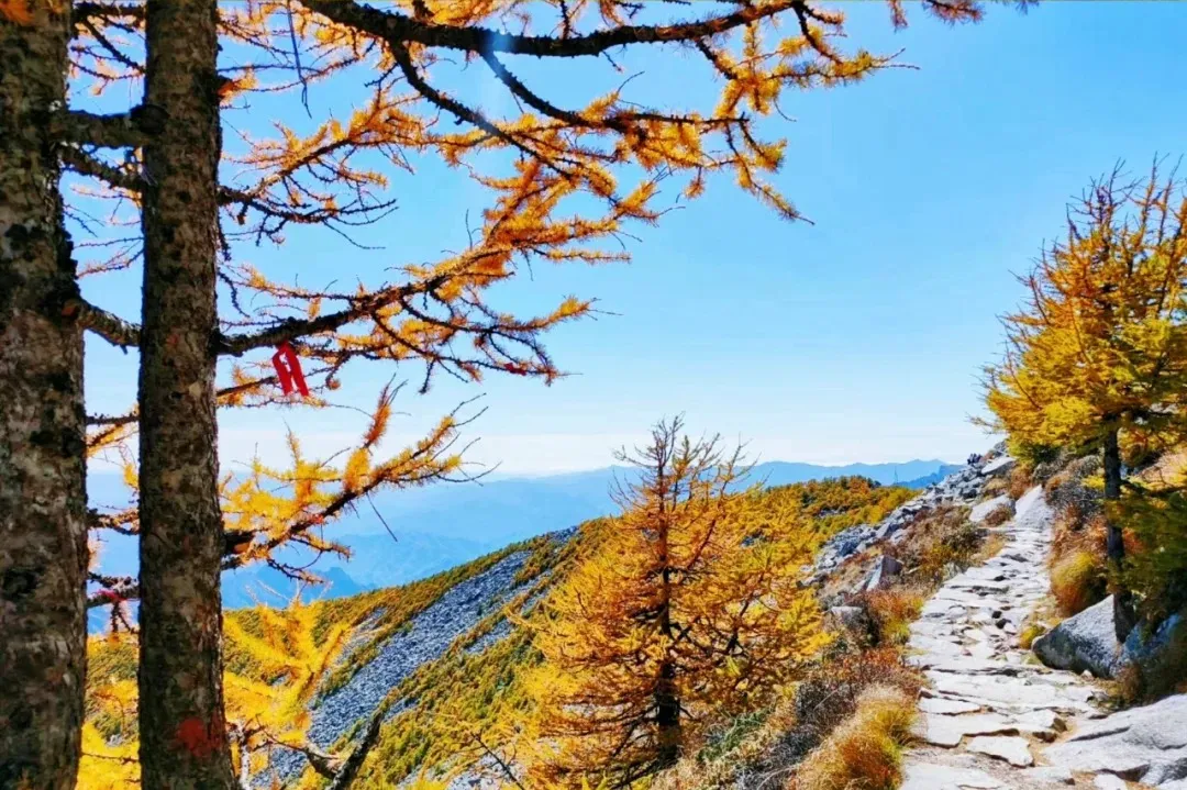 e8872f5f3e7e096c81e957793dcfe625-sz_568918