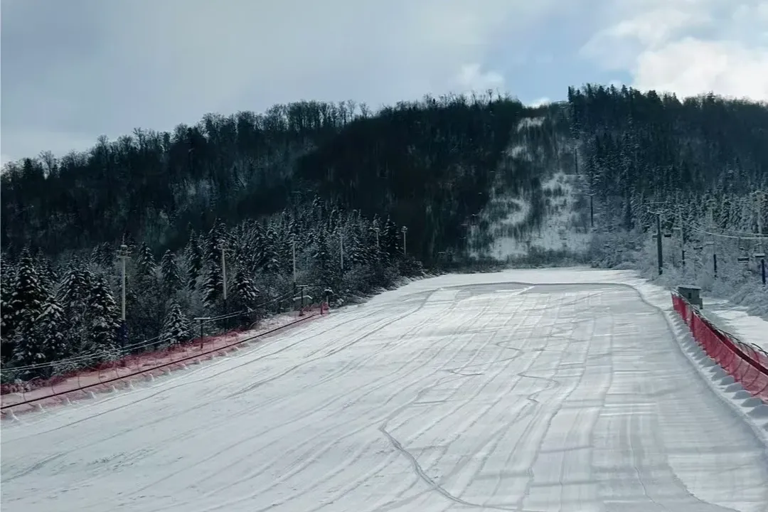 e8e5b7b8c68aa01b72931efffab7b6fa-sz_1415136 e8e5b7b8c68aa01b72931efffab7b6fa-sz_1415136