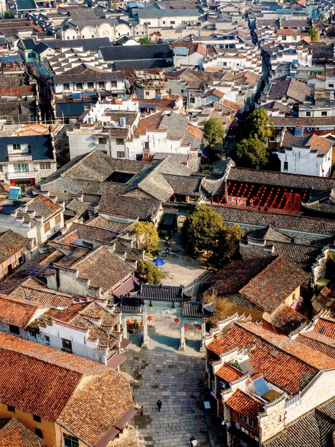 e9a905bb4064343191bd43903f555f09-sz_3372657