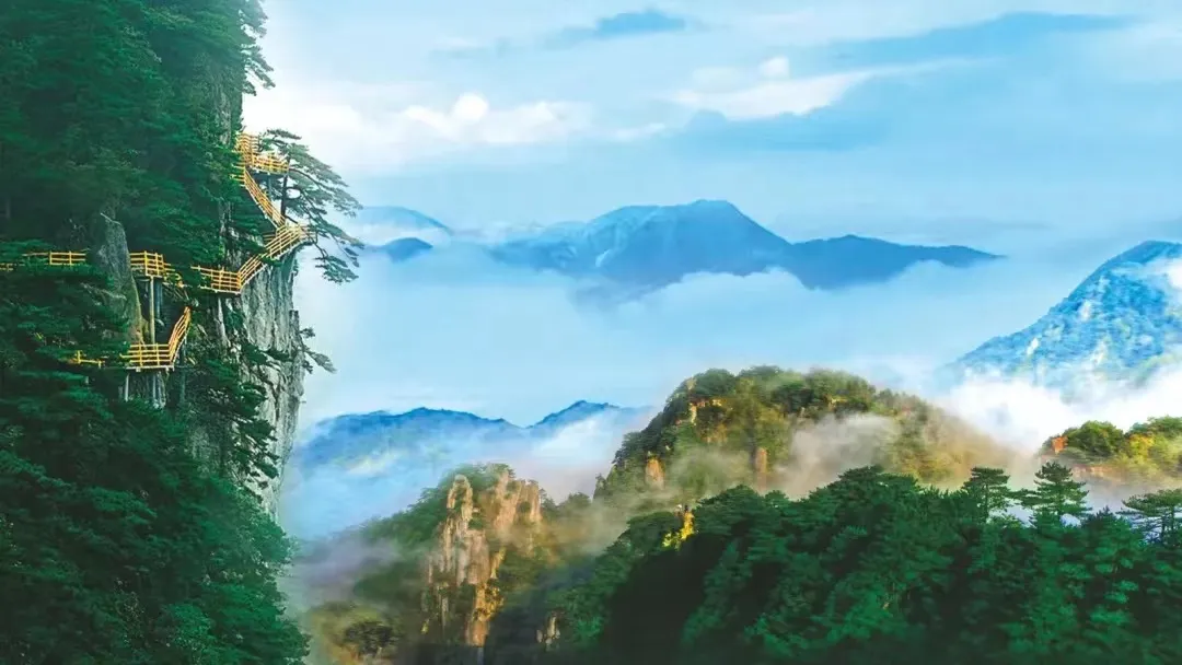 e9bc559c744e40ff552604a2d78dbd6a-sz_180935-1