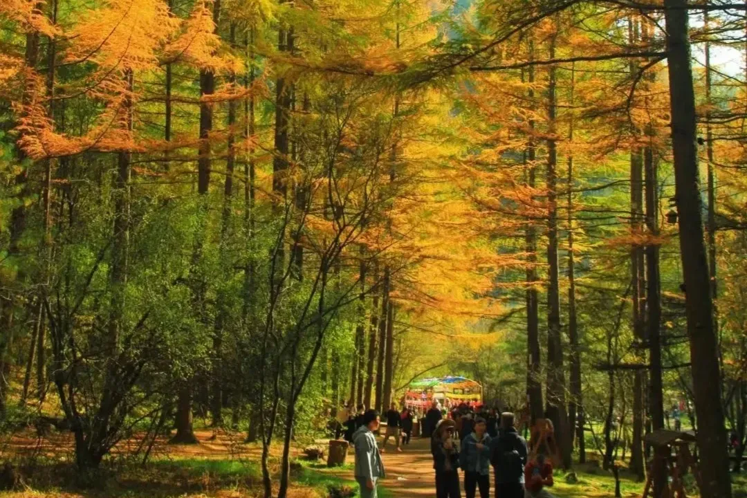 e9d75357bb2357f2c5d7f2c5d87a4755-sz_4474521