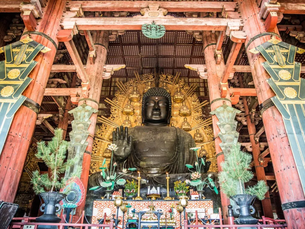 e9db66ea6fa3fc2e435e600f8f039618-sz_536390 e9db66ea6fa3fc2e435e600f8f039618-sz_536390