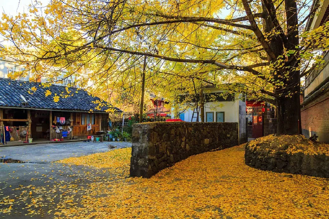 e9ff60157007e96d438889488b5a982a-sz_1234713 e9ff60157007e96d438889488b5a982a-sz_1234713