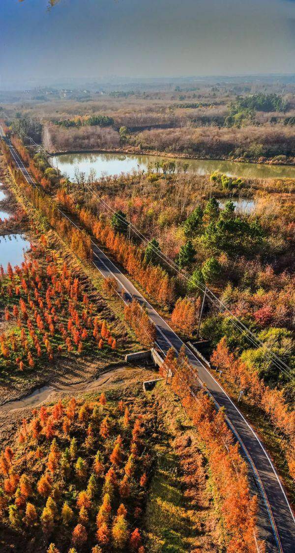 eQYLwyLo2yc2o4eH6CQhd6X1ewwyauhV