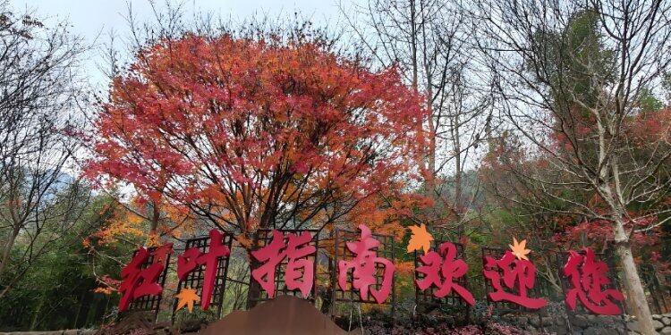 e_uNJaBlfLYGEEKVpeHSRXdv4flnU7N-