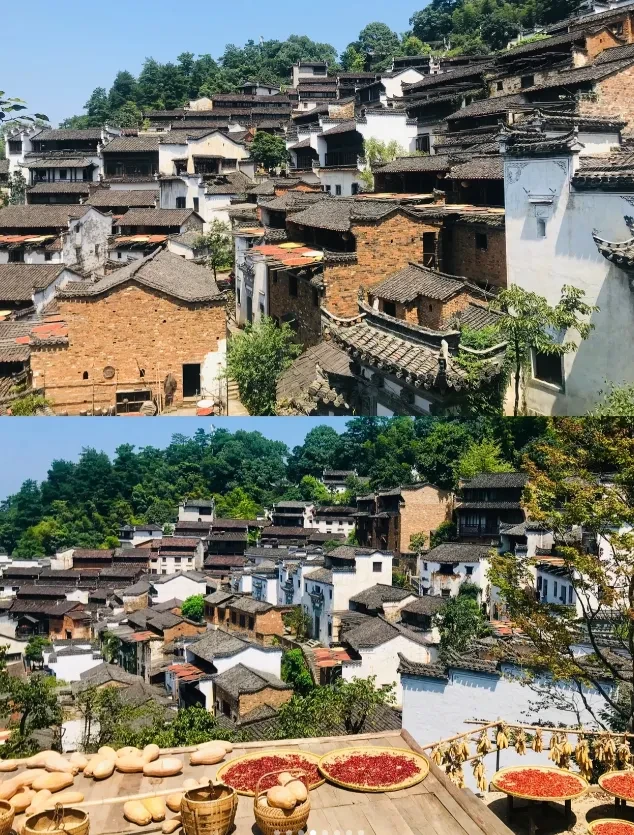 ea04e246eacda1a96150a2b7e27c5bee-sz_1328338 ea04e246eacda1a96150a2b7e27c5bee-sz_1328338