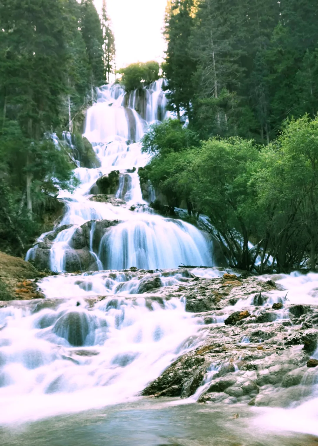 ea1974370ea04003354ddbd46a377616-sz_774246 ea1974370ea04003354ddbd46a377616-sz_774246