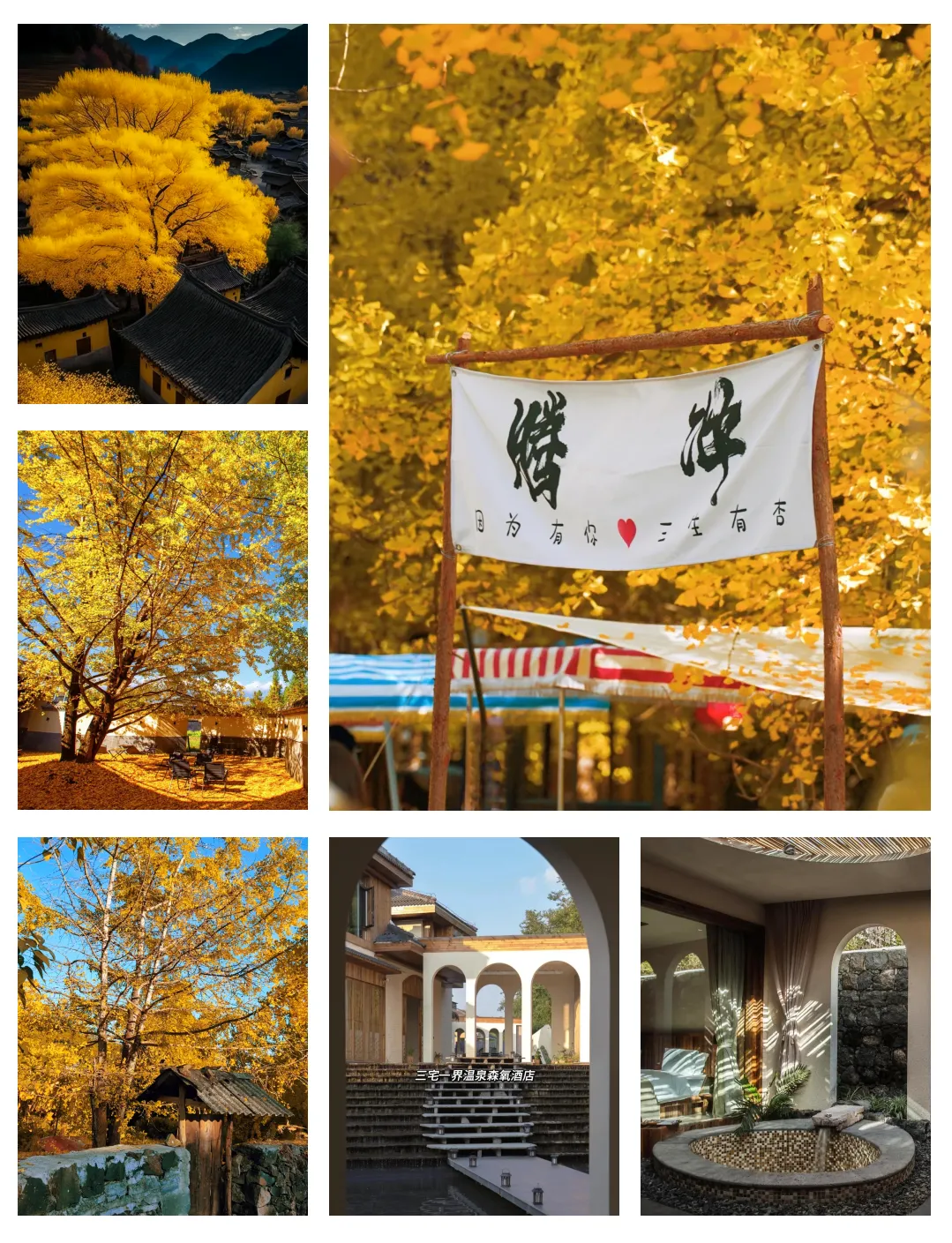 ea614b92b71dbd2e256612d1721e9bac-sz_2704986 ea614b92b71dbd2e256612d1721e9bac-sz_2704986