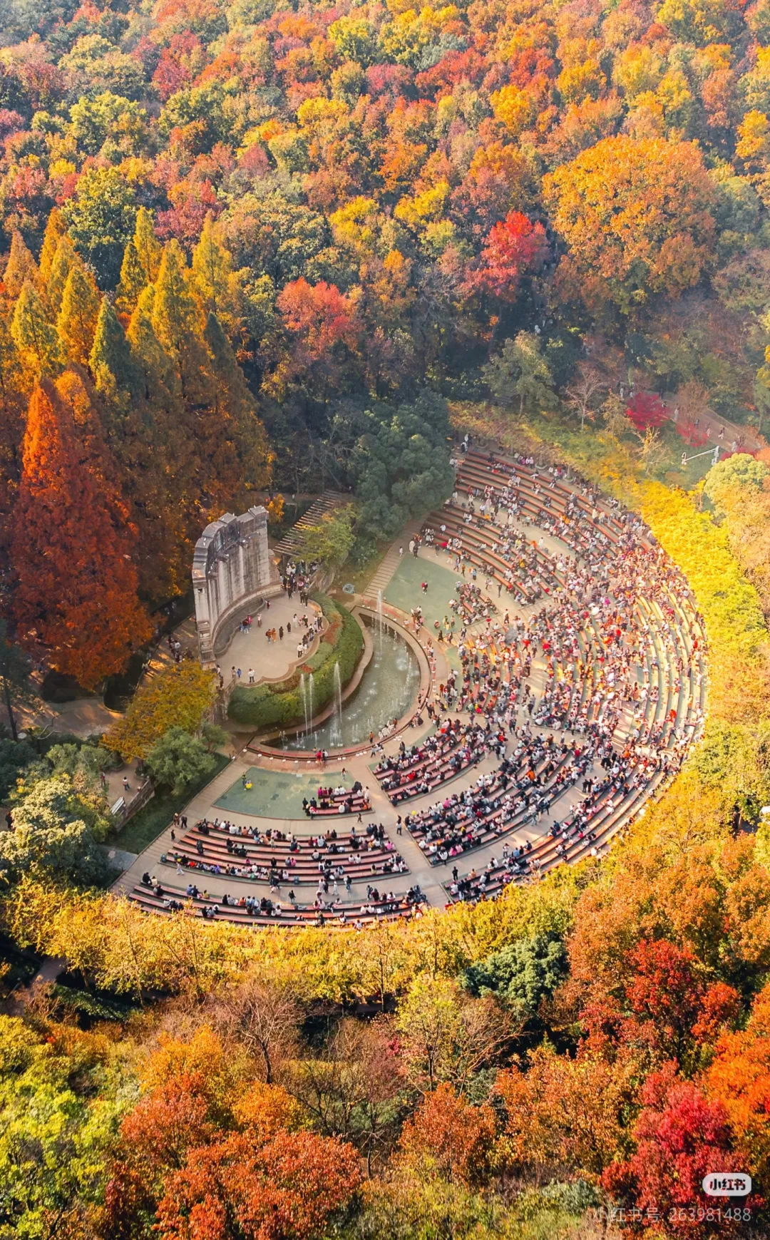 ea7a9dd65c40f6425a6243f230878e21-sz_3308548