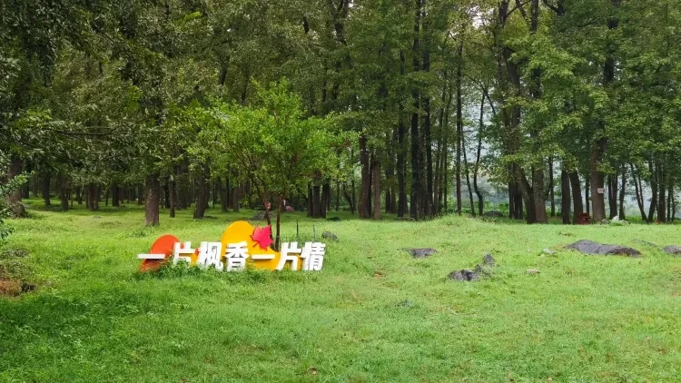 ea8f9a820ba2794eb34c4bebeb25396f-sz_5578147 ea8f9a820ba2794eb34c4bebeb25396f-sz_5578147