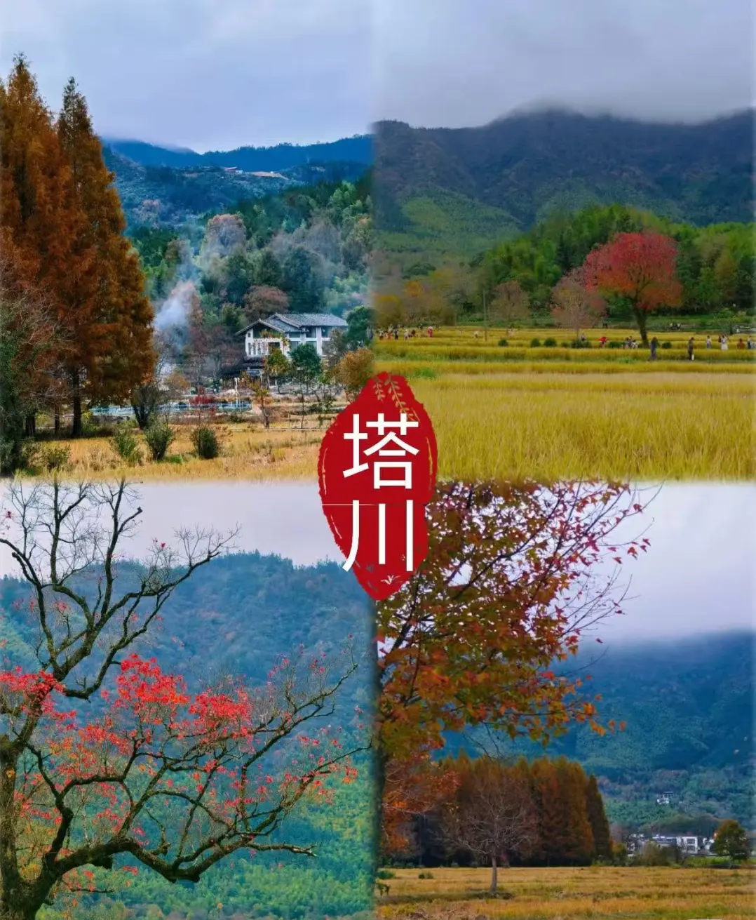 ea99013794d211705a7f20a955cdf701-sz_349213