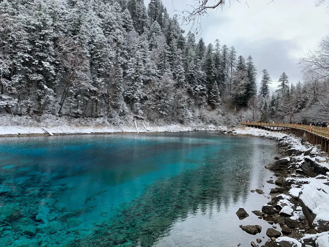 eaeb604e806ee6c5983a142a3050797e-sz_1071844