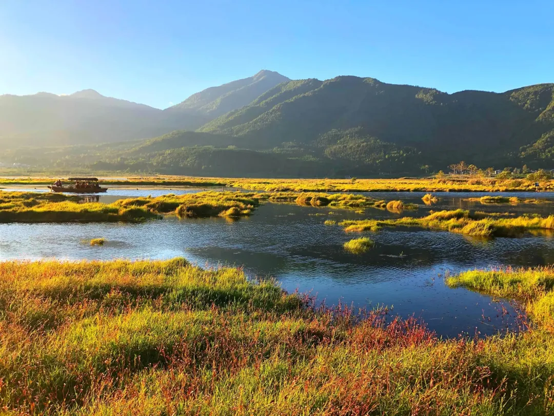 eaf0ee56943931aeeecbfd9995c2d093-sz_3616271 eaf0ee56943931aeeecbfd9995c2d093-sz_3616271