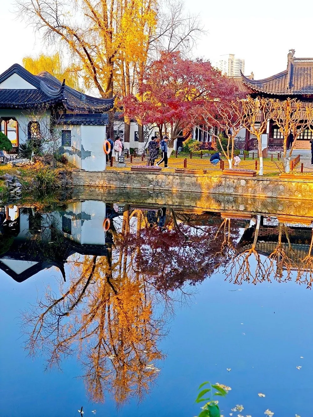 eb40b08c5362a0a09e426ee956ba2b06-sz_544754