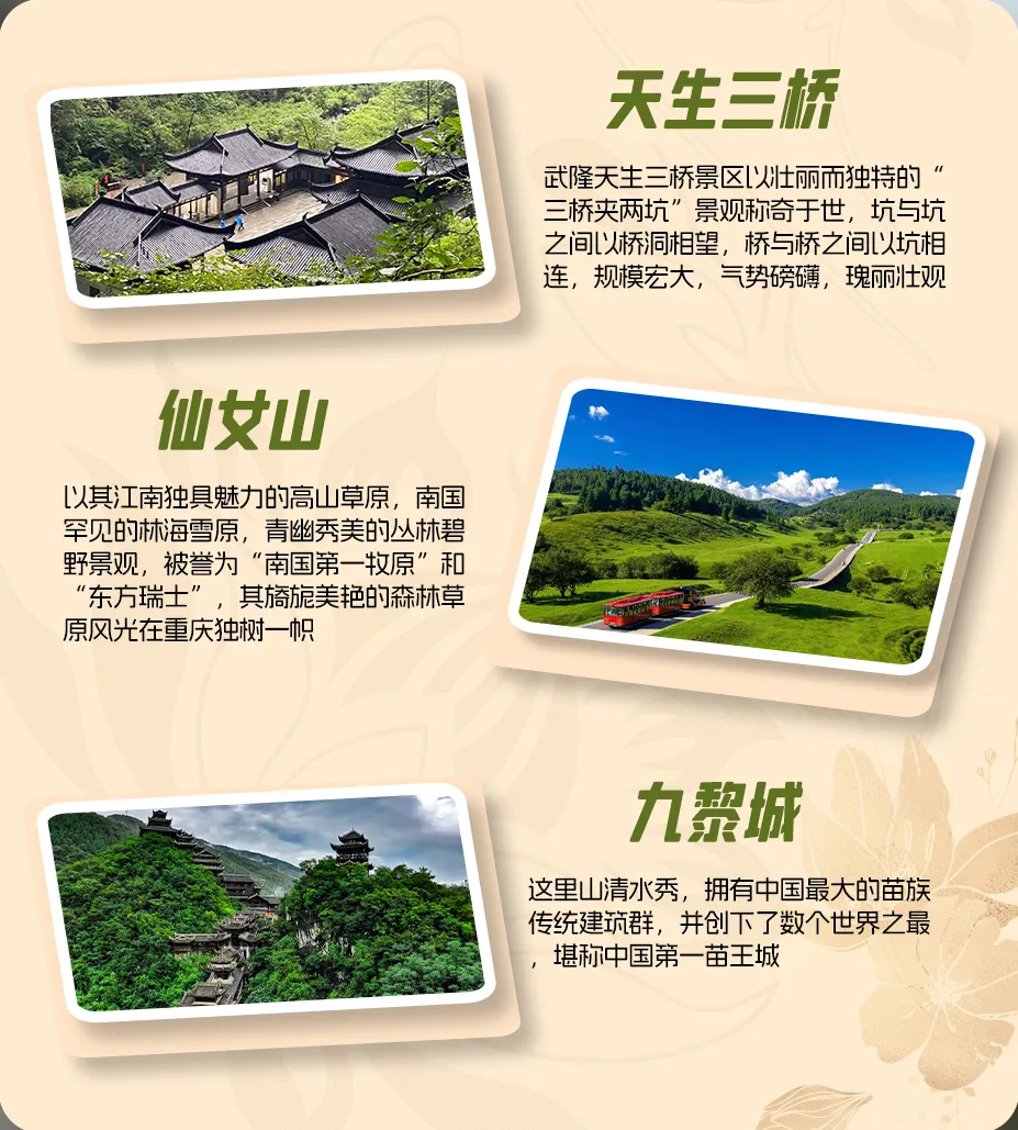 eb6e93a6207acdb8172e00de784b75d2-sz_1769475