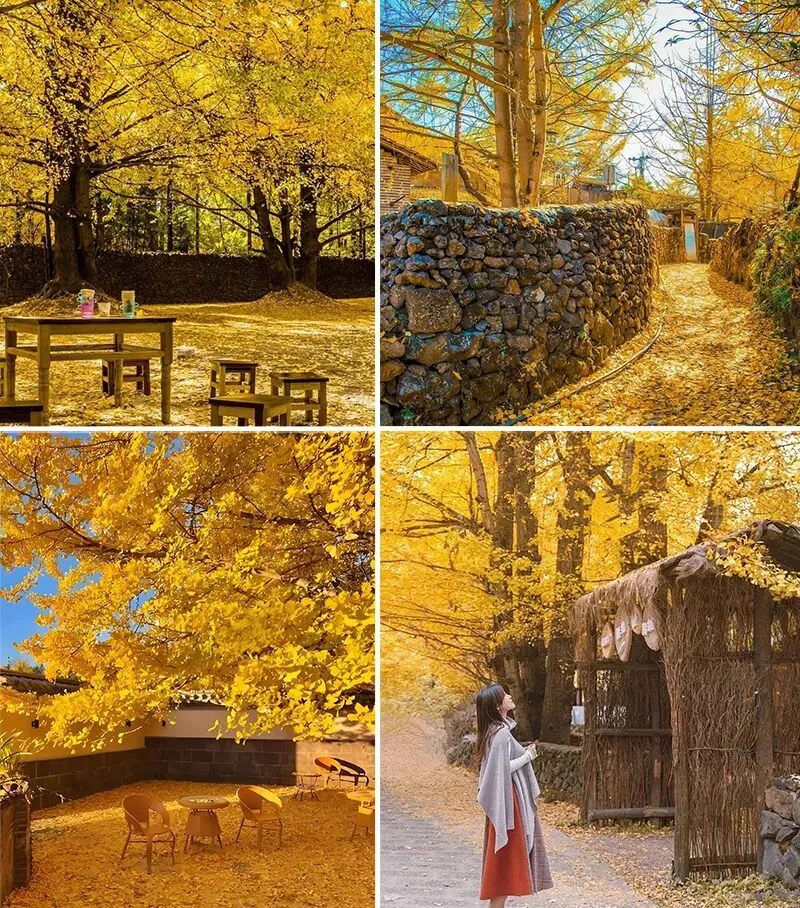 ebade3fff5e485c71de08b7e60cd882e-sz_290530