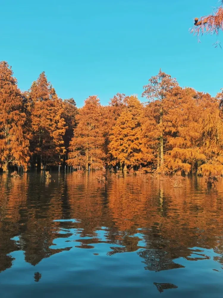 ebb3f102e07c4493469d6710d54bfa34-sz_1964243