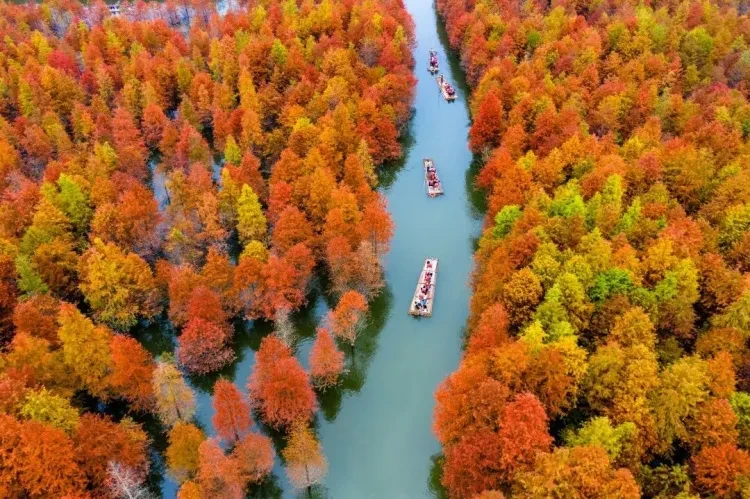 ebb89d0bdf88c9c06f9860cba9a7b422-sz_249412 ebb89d0bdf88c9c06f9860cba9a7b422-sz_249412