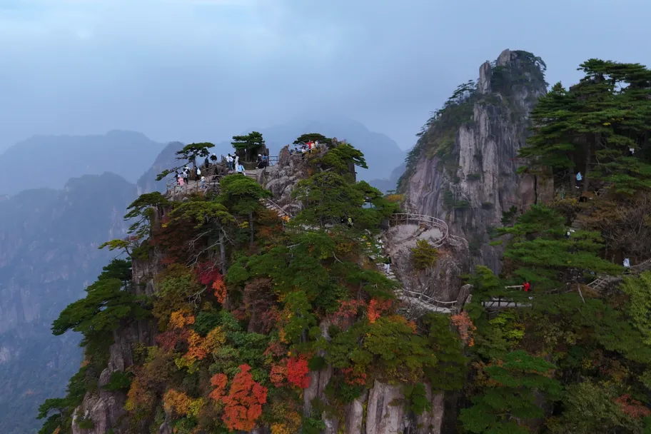 ebc0befcec603a08cff462adb01e6853-sz_855899