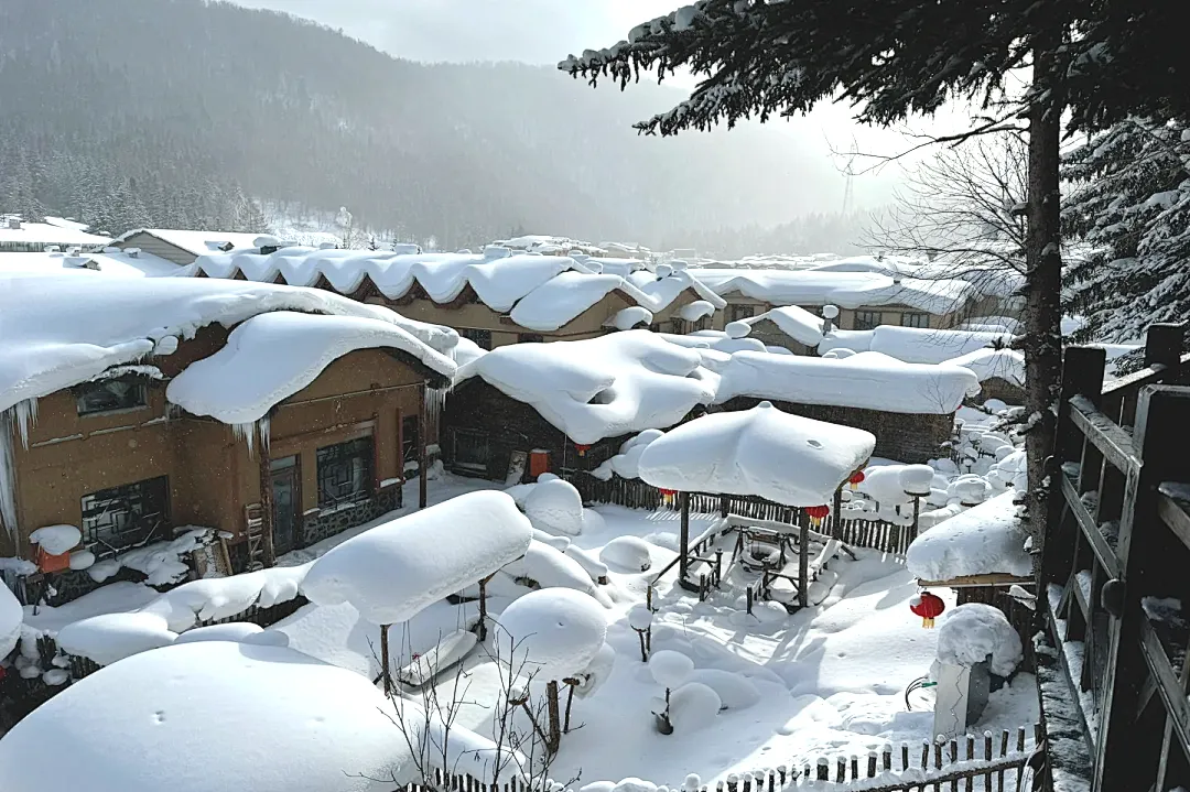 ebc5e38640a6943ea78e46761d7a1be9-sz_2200148