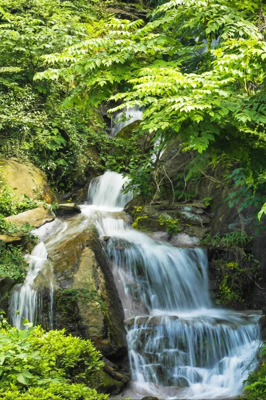 ebcac47a877a4c5a6b3917118b5470e2-sz_403915-1 ebcac47a877a4c5a6b3917118b5470e2-sz_403915-1