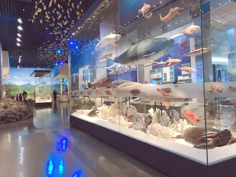 ebcb16860d78999455c64e2eb0874c54-sz_90708