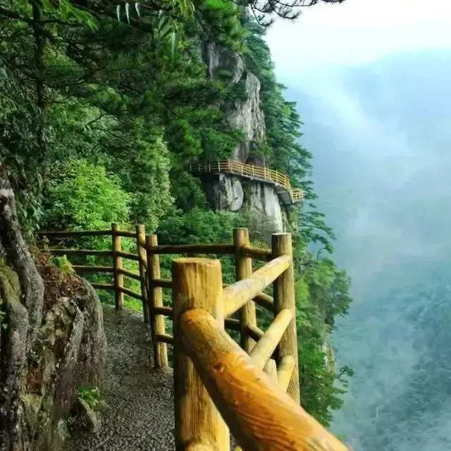 ebf127d6e9e2033d77561724da54eb0c-sz_922366