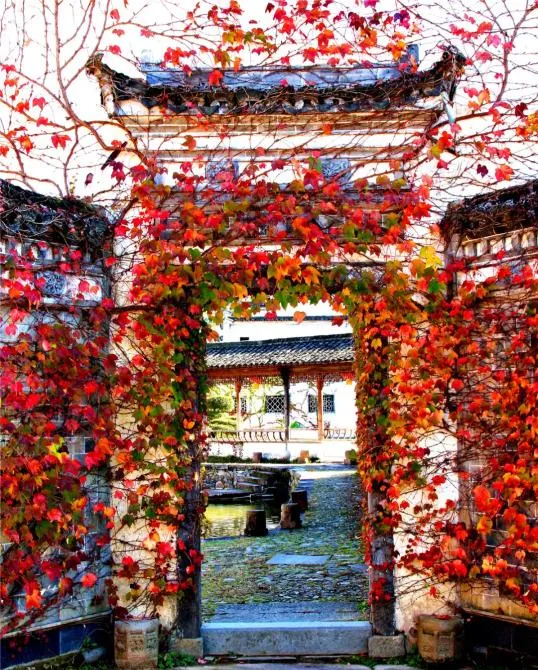 ebf5fbb22bd938ebc2ec3dddf8eb38d4-sz_899466